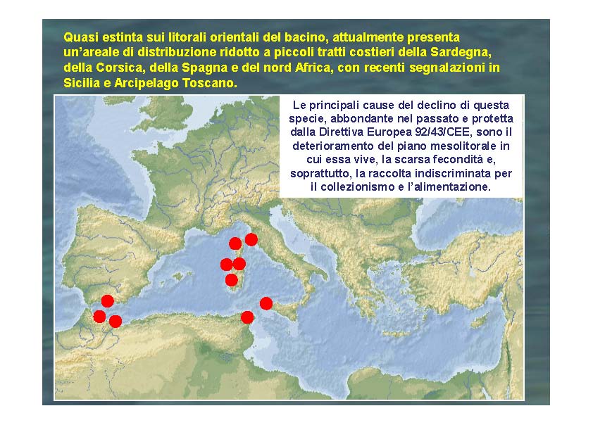 Clicca per ingrandire l'immagine