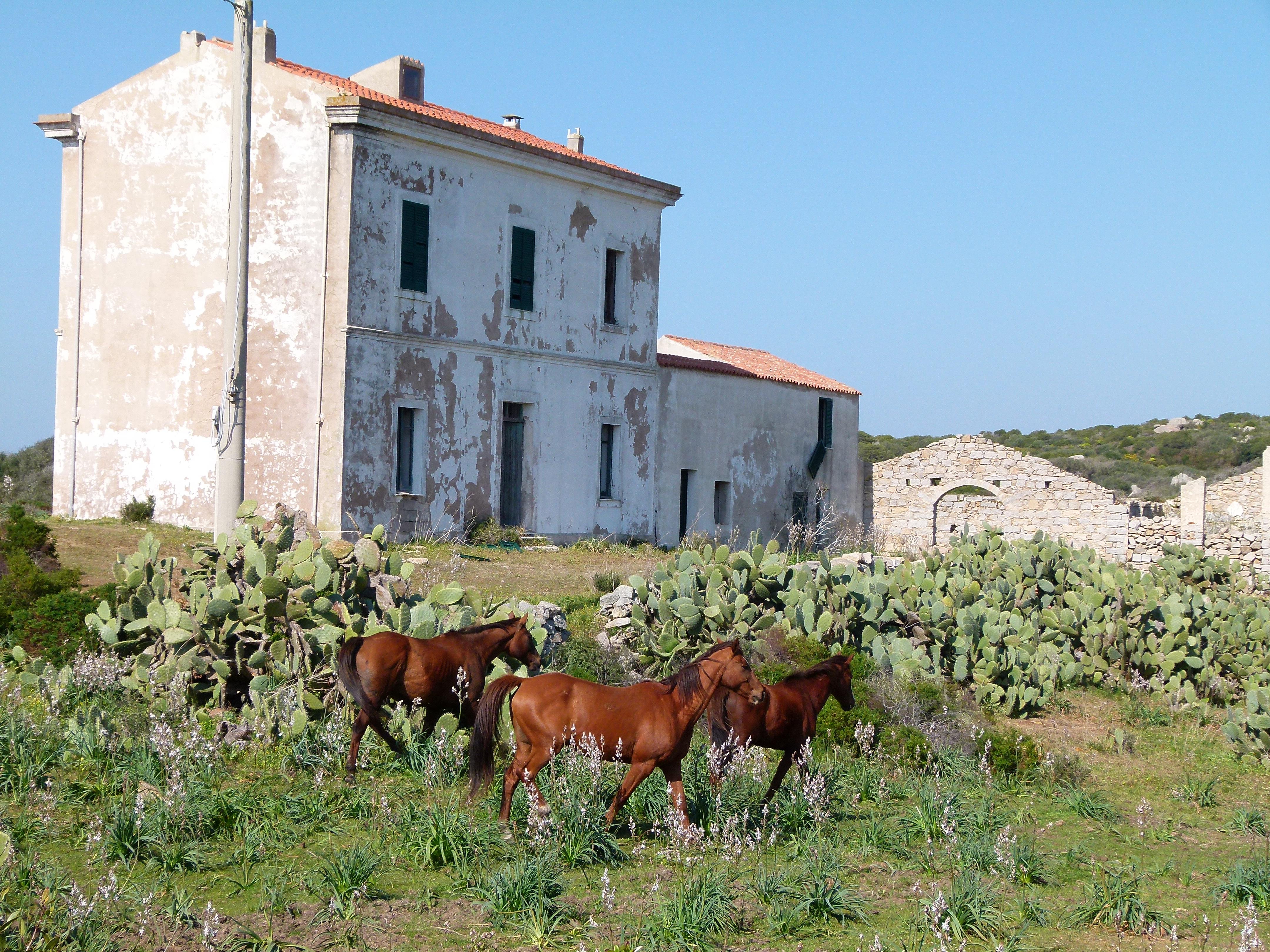 Clicca per ingrandire l'immagine