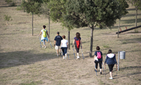 Copia di DSC 3934 - nordic walking