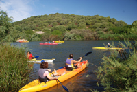 Copia di Padrongianus Canoe 1