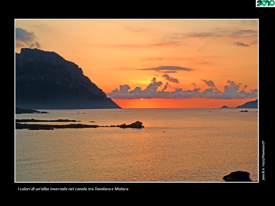 alba isola di  tavolara